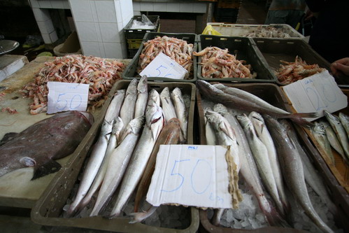 Image 1203821 (auto)