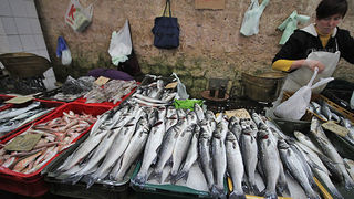 Đir po pešakariji 6. travnja 2012. (foto:Saša Čuka) Đir po pešakariji 6. travnja 2012. (foto:Saša Čuka)