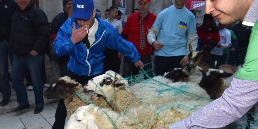 Poznata zadarska skupina Bleke i Konji na karnevalskoj povorci pojavila se sa stadom ovaca koje su doveli na sredisnji gradski trg. Clanovi skupine bili su obuceni u majice hrvatskih politickih stranaka koje su medjusobno izmjenjivali uz domoljubne pjesme