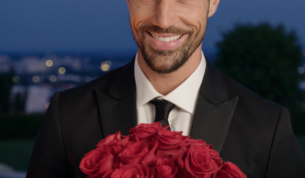 Gospodin Savršeni cover