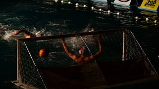 VAK”AN”ZA 31%, finale: Reptili – Nesvrstani 2-4 VAK”AN”ZA 31%, finale: Reptili – Nesvrstani 2-4