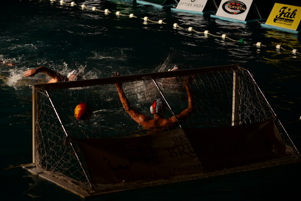 VAK”AN”ZA 31%, finale: Reptili – Nesvrstani 2-4 VAK”AN”ZA 31%, finale: Reptili – Nesvrstani 2-4