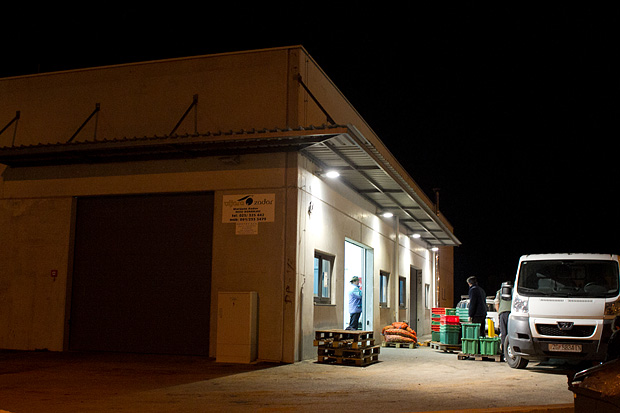 Večer u uljari, Foto: Leo Banić