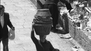 Image 1192097 (auto)