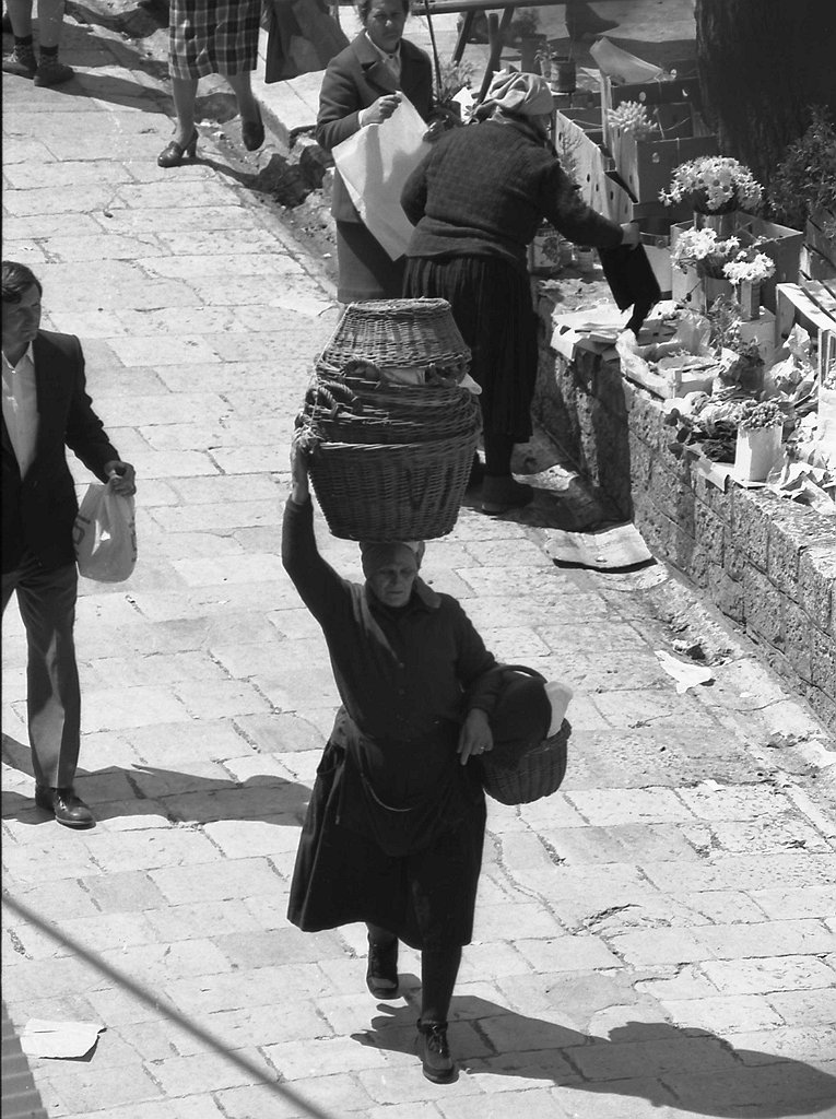 Image 1192097 (auto)