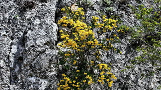 Pješačka staza Obrovac – Jankovića buk