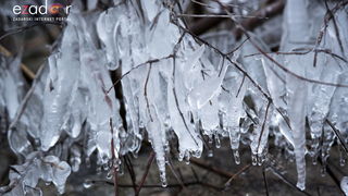 Zimska idila u Parku prirode Vransko jezero Zimska idila u Parku prirode Vransko jezero