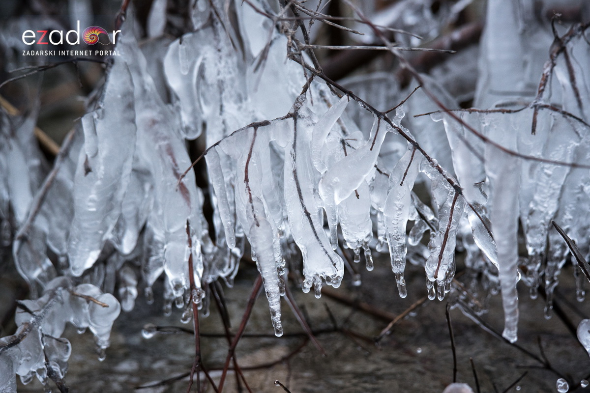 Zimska idila u Parku prirode Vransko jezero Zimska idila u Parku prirode Vransko jezero