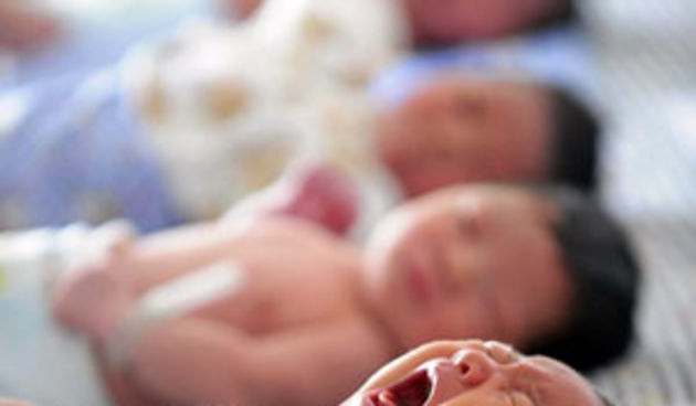 Novorođenčad (Foto: guim.co.uk)