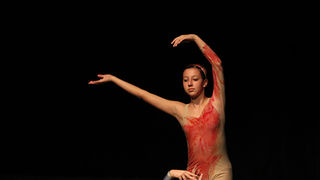 2. Zadarski plesni festival (In Memoriam Nives Šimatović-Predovan)