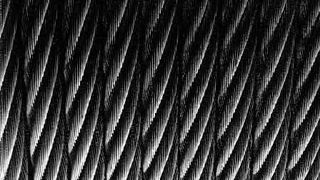 Braća Brkan: Slike sna i svjetlosti Braća Brkan: Slike sna i svjetlosti