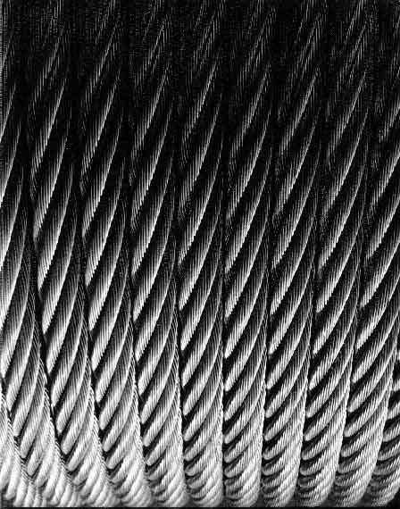 Braća Brkan: Slike sna i svjetlosti Braća Brkan: Slike sna i svjetlosti