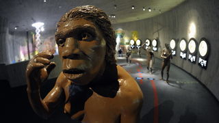 Krapina, 080210.Novi Muzej krapinskog pracovjeka zavrsen je na svjetski poznatom lokalitetu Husnjakovo u Krapini. Krapinski je pracovjek proslavio hrvatsku znanost diljem svijeta.Na slici: izlozak u muzeju.Foto: Damir Krajac / CROPIX