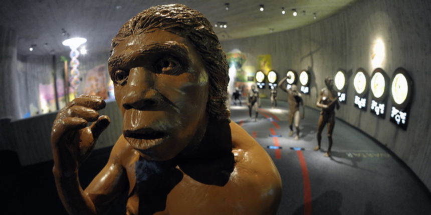 Krapina, 080210.Novi Muzej krapinskog pracovjeka zavrsen je na svjetski poznatom lokalitetu Husnjakovo u Krapini. Krapinski je pracovjek proslavio hrvatsku znanost diljem svijeta.Na slici: izlozak u muzeju.Foto: Damir Krajac / CROPIX Krapina, 080210.Novi Muzej krapinskog pracovjeka zavrsen je na svjetski poznatom lokalitetu Husnjakovo u Krapini. Krapinski je pracovjek proslavio hrvatsku znanost diljem svijeta.Na slici: izlozak u muzeju.Foto: Damir Krajac / CROPIX