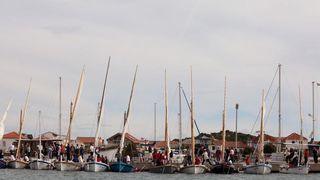 Murter: Po jakoj buri održana je tredicionalna 18. regata Latinsko idro – Murter 2015. Photo: Duško Jaramaz/PIXSELL Murter: Po jakoj buri održana je tredicionalna 18. regata Latinsko idro – Murter 2015. Photo: Duško Jaramaz/PIXSELL