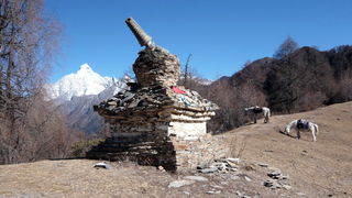 Putovanje u Kinu i Tibet (Foto:Iva Bur
