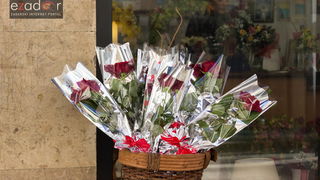 Đir po gradu 14. veljače 2017.