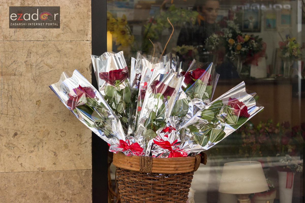 Đir po gradu 14. veljače 2017.
