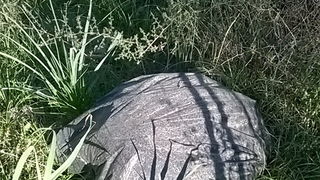 Ovako izgleda Park šuma Musapstan nakon akcije “Zelena čistka” Ovako izgleda Park šuma Musapstan nakon akcije “Zelena čistka”