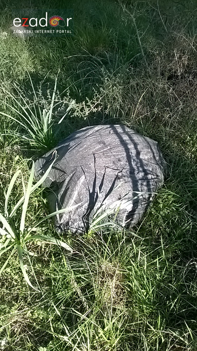 Ovako izgleda Park šuma Musapstan nakon akcije “Zelena čistka” Ovako izgleda Park šuma Musapstan nakon akcije “Zelena čistka”