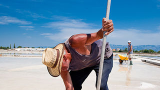 Solana Nin, berba soli, foto: Leo Banić