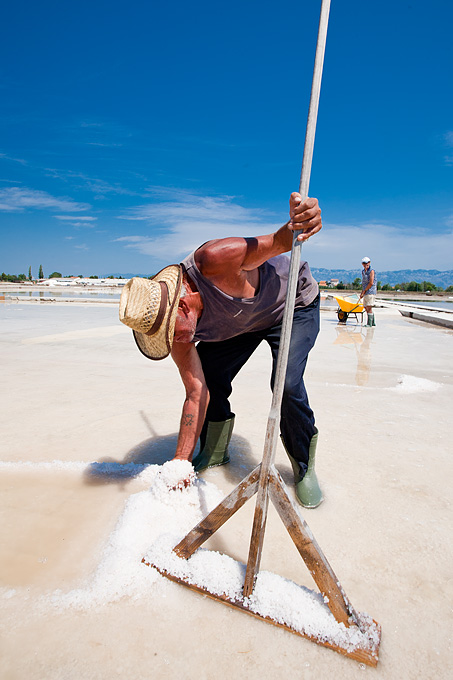 Solana Nin, berba soli, foto: Leo Banić