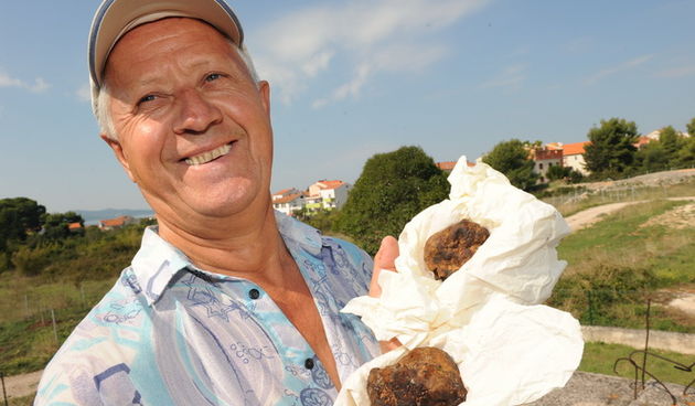 Zadar, 230910.
Ivan Andric umirovljenik iz njemacke  na prigradskom podrucju Zadra pronasao je  bjele tartufe.Dva tartufa ukupne tezine oko pola kilograma vrijede oko 500-600 eura.
Foto : Andrija Lucic / cropix
