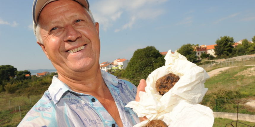 Zadar, 230910.
Ivan Andric umirovljenik iz njemacke na prigradskom podrucju Zadra pronasao je bjele tartufe.Dva tartufa ukupne tezine oko pola kilograma vrijede oko 500-600 eura.
Foto : Andrija Lucic / cropix Zadar, 230910.
Ivan Andric umirovljenik iz njemacke na prigradskom podrucju Zadra pronasao je bjele tartufe.Dva tartufa ukupne tezine oko pola kilograma vrijede oko 500-600 eura.
Foto : Andrija Lucic / cropix