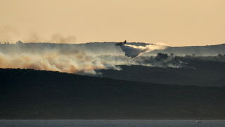 Image 1177161 (auto)