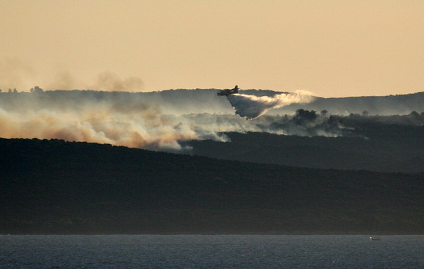 Image 1177161 (auto)