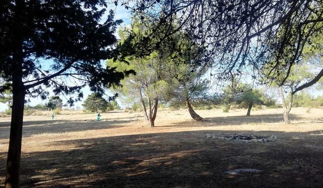 Musapstan, Ritam prirode