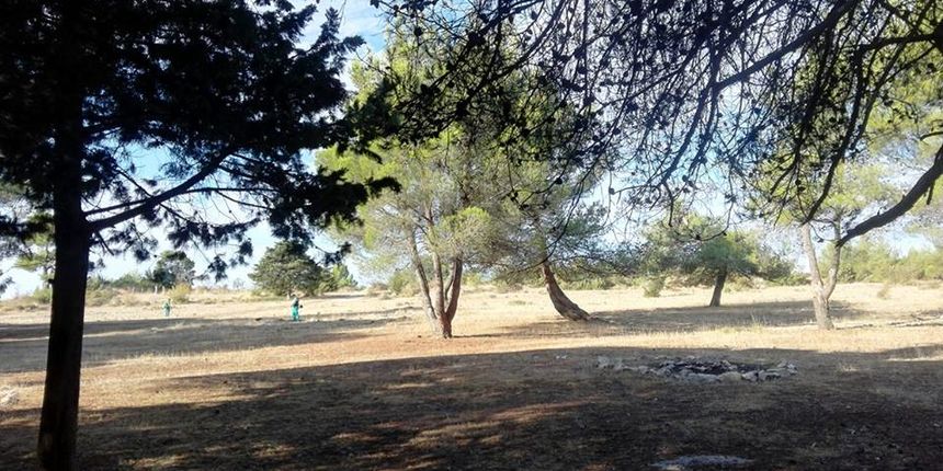 Musapstan, Ritam prirode