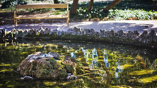 Đir zadarskim parkovima,27. veljače 2012. (foto:Saša Čuka)