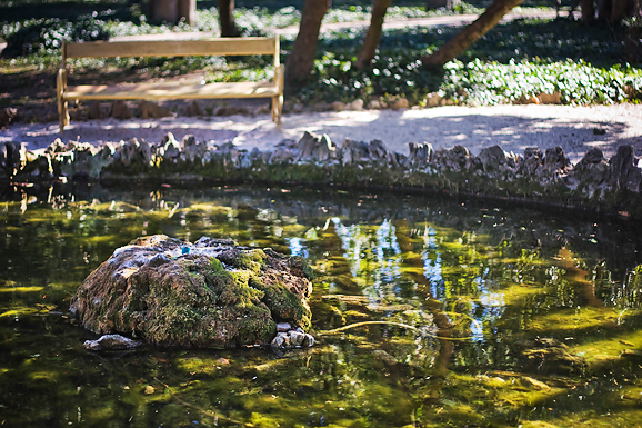 Đir zadarskim parkovima,27. veljače 2012. (foto:Saša Čuka)