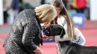 Izložba pasa na Zagrebačkom velesajmu Izložba pasa na Zagrebačkom velesajmu