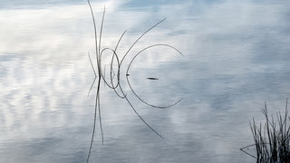 Čarobno jutro na Vranskom jezeru Čarobno jutro na Vranskom jezeru