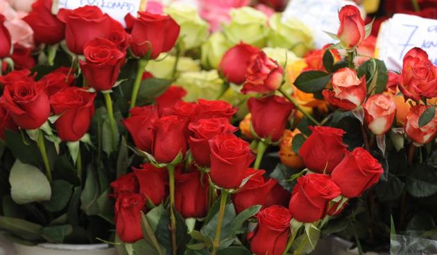 07.03.2014., Sibenik – Uoci Medjunarodnog Dana zena velika je potraznja za cvijecem na sibenskoj trznici. Photo: Hrvoje Jelavic/PIXSELL Autor  Hrvoje Jelavic/PIXSELL Ključne riječi  poklon, 8, dan zena, dan, ruze, osmi mart, zena, cvijece