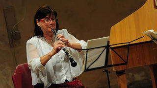 Glazbene večeri u sv. Donatu, praški barokni ansambl, foto: Nenad Marčev