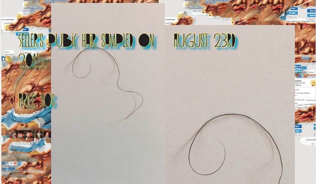 Vodeći hrvatski i svjetski umjetnici na “online izložbi” u Laubi