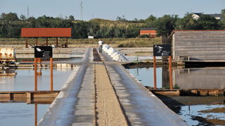 Nin: Prvi rođendan Muzeja soli