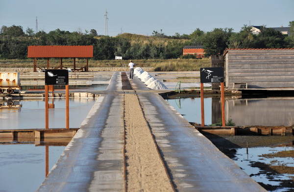 Nin: Prvi rođendan Muzeja soli