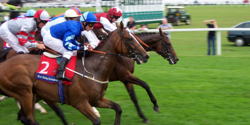 Konjske utrke (Foto: jonathanstephens.com)