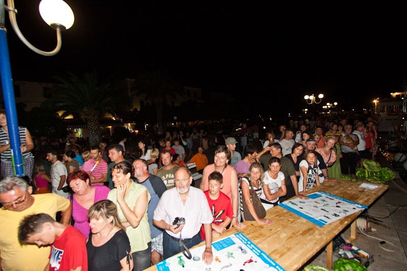 Biograd na Moru: 3. Morska alga, Foto: Franjo Jurić