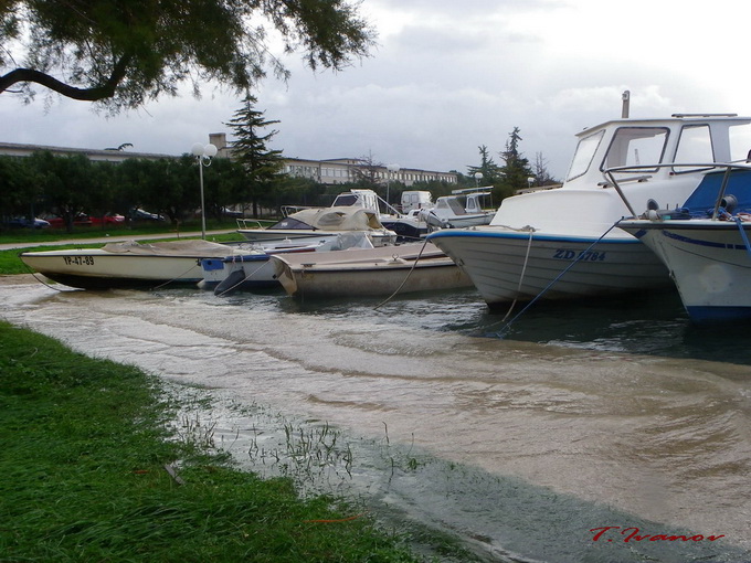 Plima u uvali Bregdetti, foto: T. Ivanov