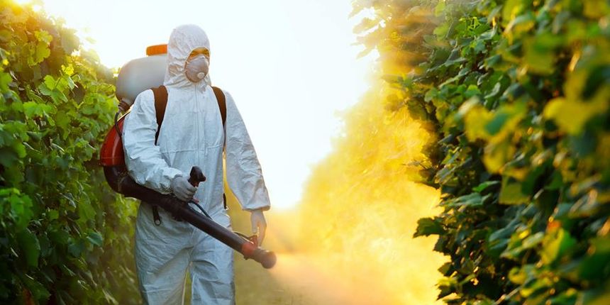 Dezinsekcija Dezinsekcija