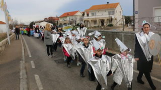 Virski karnevalić 2016. Virski karnevalić 2016.