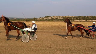 Polaca, utrke konja Oluja 95 Polaca, utrke konja Oluja 95