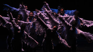 Večer Za Nives, plesni ansambli, foto: Iva Perinčić