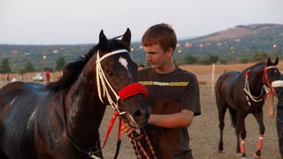 Polaca, utrke konja Oluja 95 Polaca, utrke konja Oluja 95