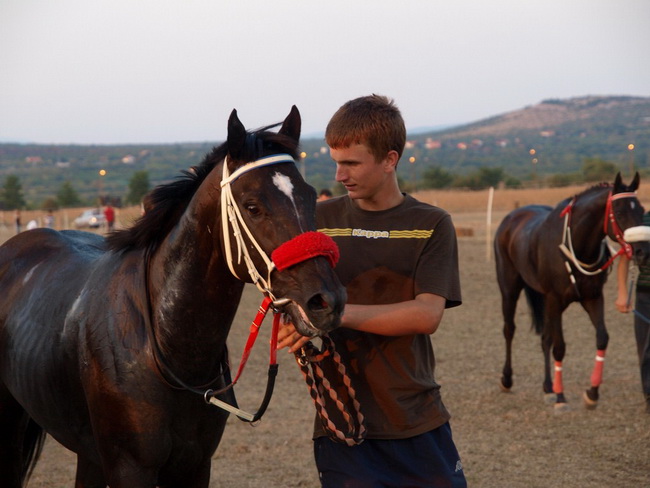 Polaca, utrke konja Oluja 95 Polaca, utrke konja Oluja 95